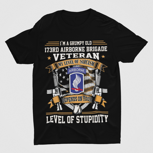 173rd Veteran Mood shirt